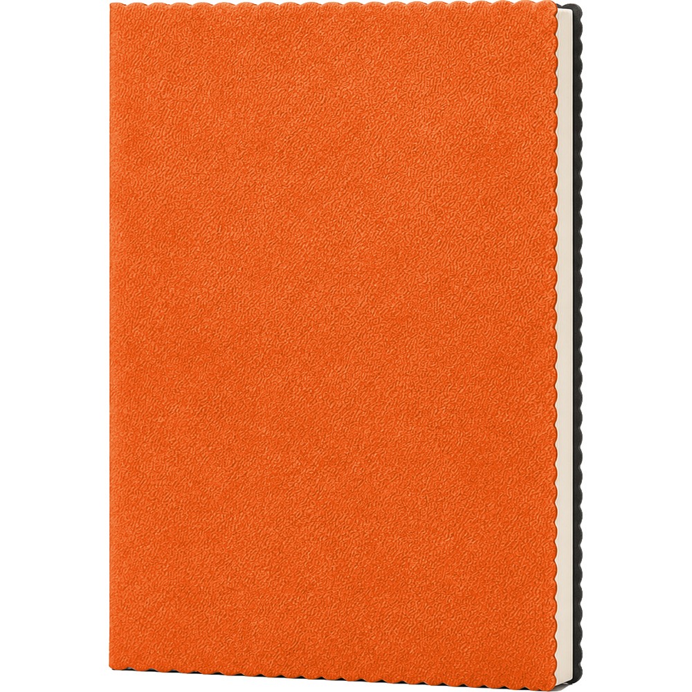 Erciyes Tarihsiz Defter