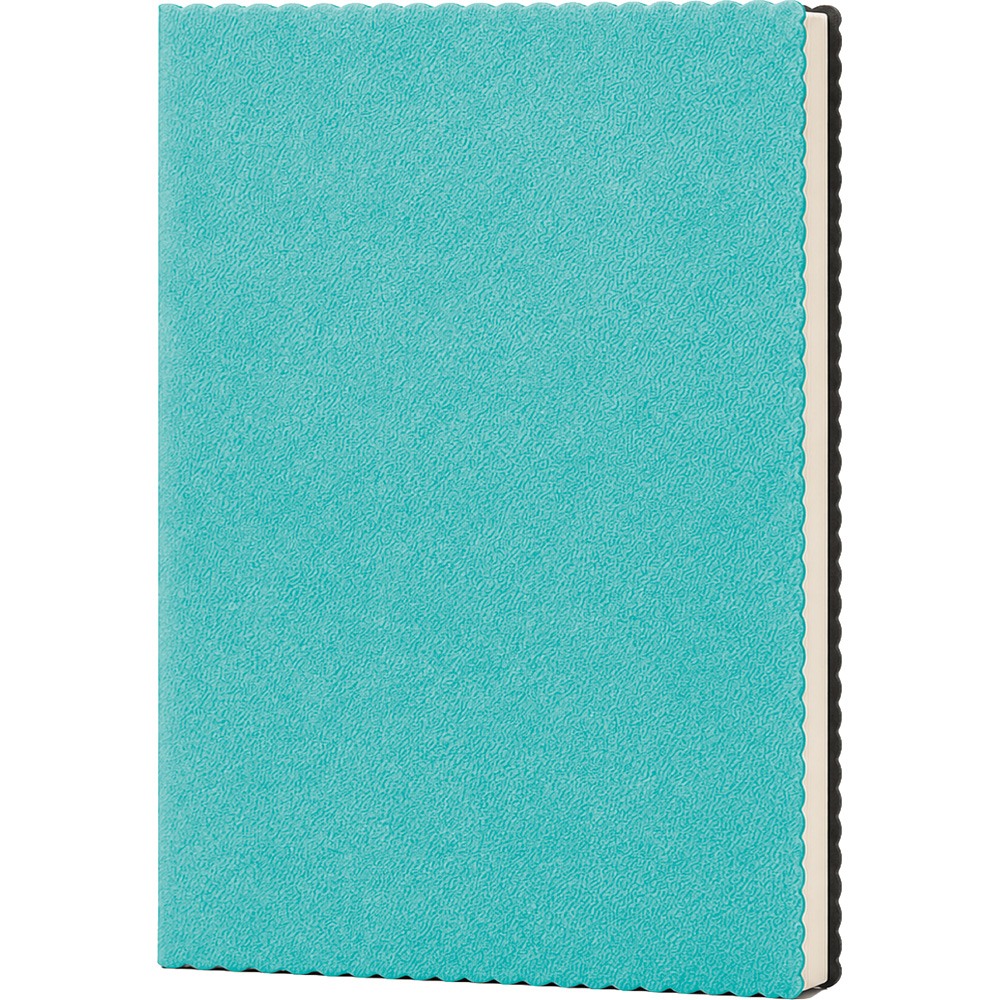 Erciyes Tarihsiz Defter