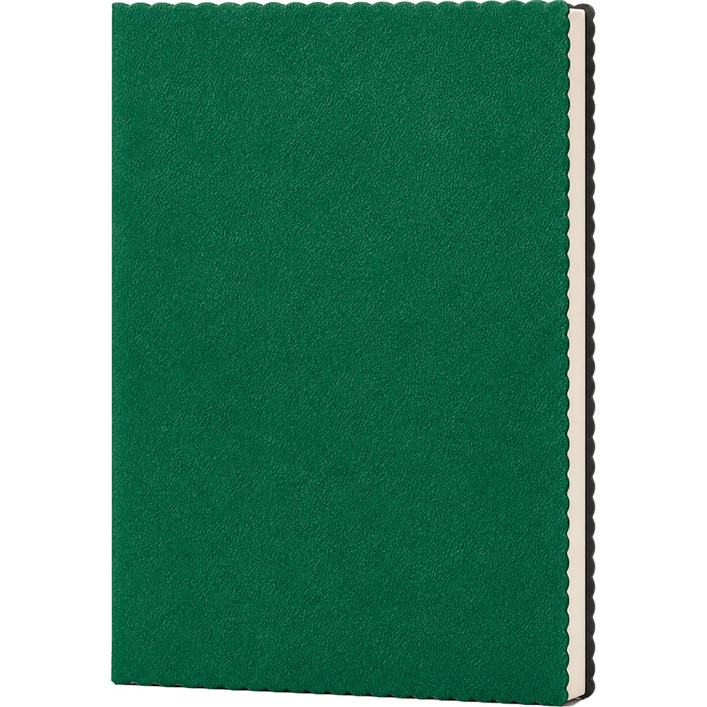 Erciyes Tarihsiz Defter